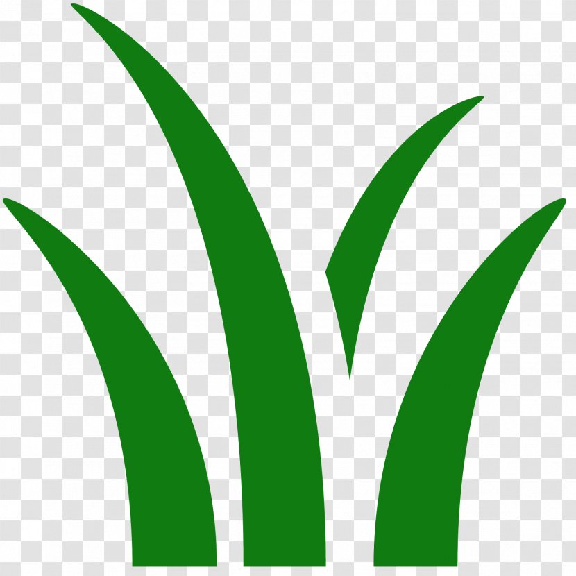 Herbicide Lawn Mowers Landscape Maintenance Landscaping - Palm Leaves Transparent PNG