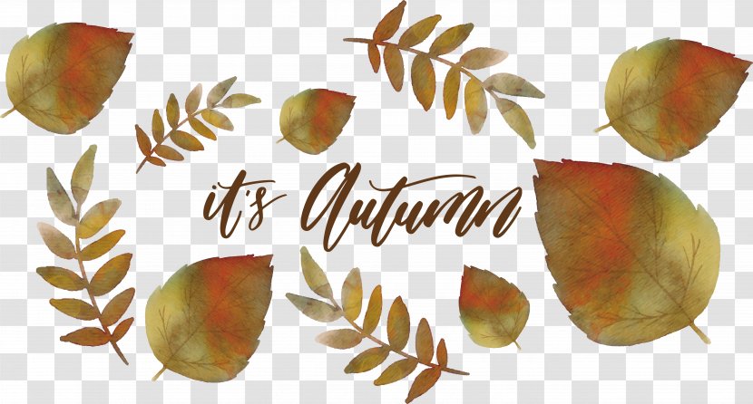 Watercolor Painting Leaf Autumn Deciduous - Food - Leaves Transparent PNG