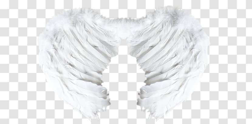 Wing Blogger Feather - Http Cookie - Blog Transparent PNG