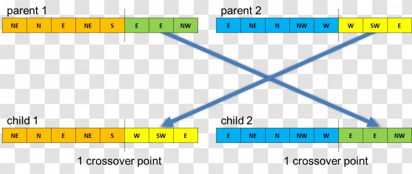 Document Line Angle Brand - Number - Genetic Algorithm Transparent PNG
