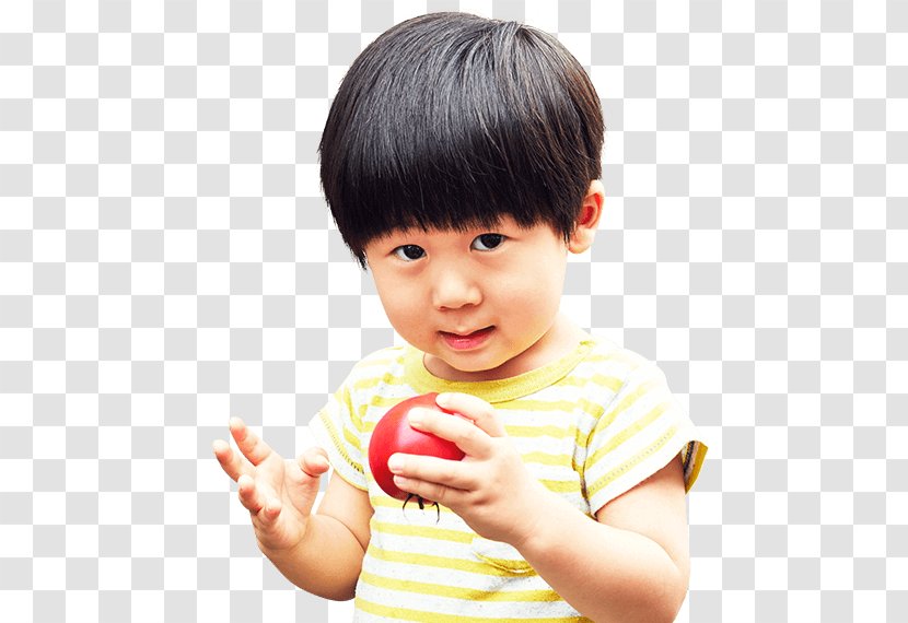 Child Toddler Boy Infant Cheek - Lg Transparent PNG