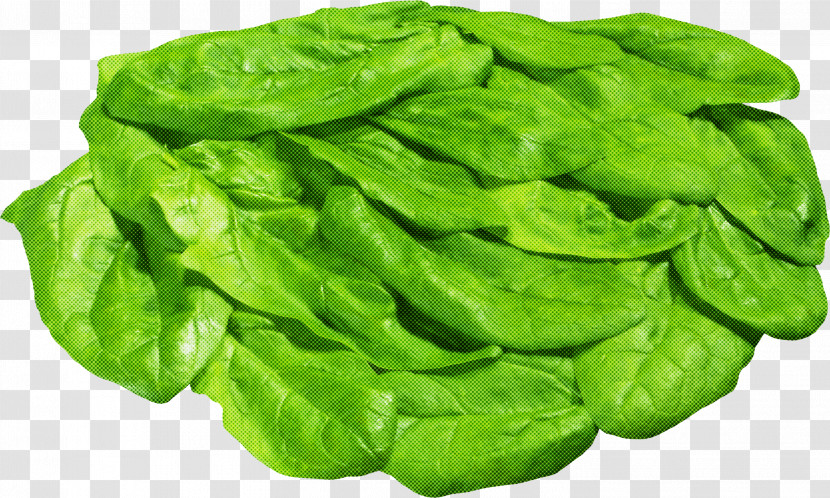 Green Leaf Vegetable Leaf Vegetable Spinach Transparent PNG