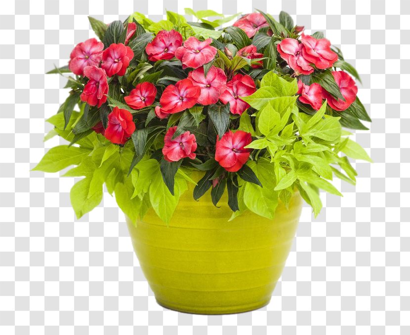 Container Garden Flowerpot Shipping Gardening - Plant Transparent PNG