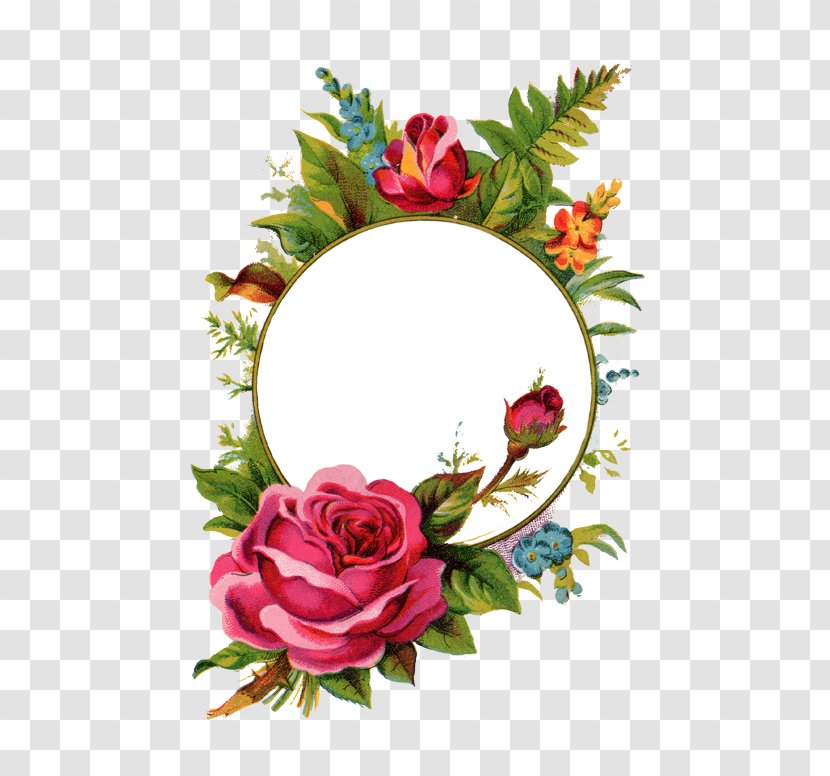 Picture Frames Rose Stock Photography Clip Art - Garden Roses - Mothersday Transparent PNG