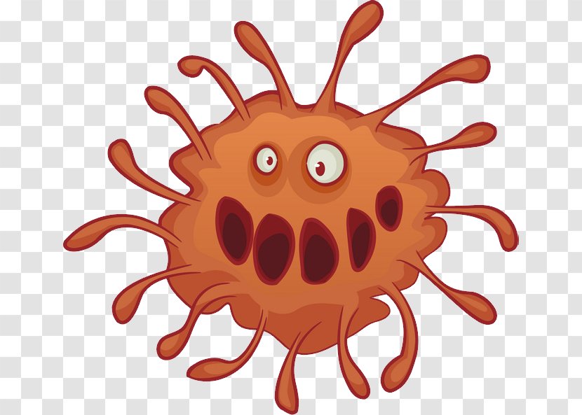 Bacteria Germ Theory Of Disease Child Virus Microbiota Transparent PNG