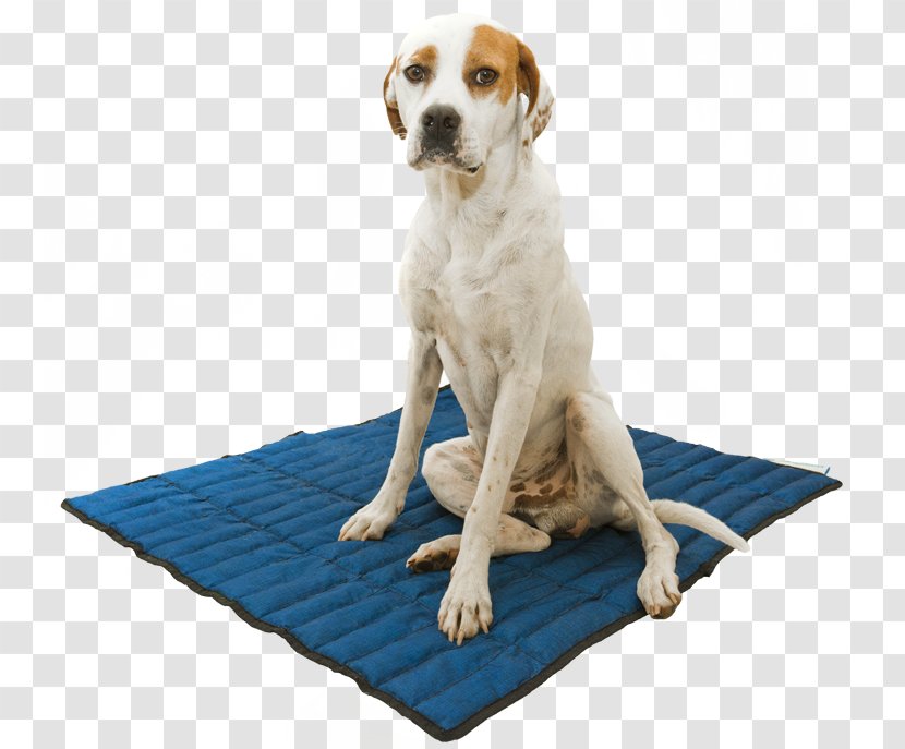 Dog Blue Carpet Beslist.nl Kerchief - White Transparent PNG