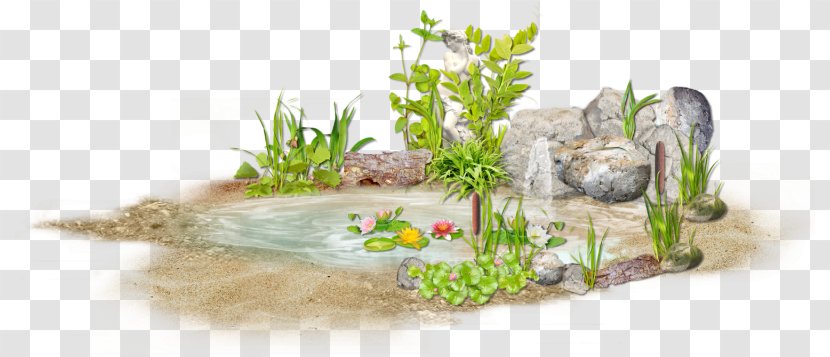Water Resources - Pond Transparent PNG