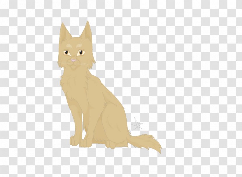 Whiskers Kitten Cat Hare Canidae - Carnivoran Transparent PNG