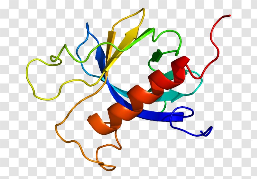 PRKD3 Protein Kinase C Gene - Flower - Silhouette Transparent PNG