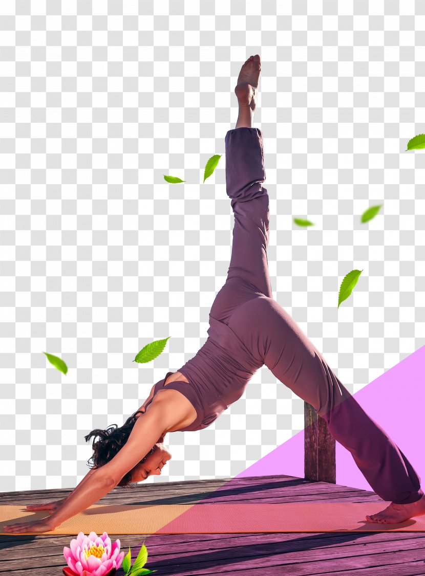 Yoga Physical Exercise Pilates Asento Asana - Tree - People Posters Transparent PNG