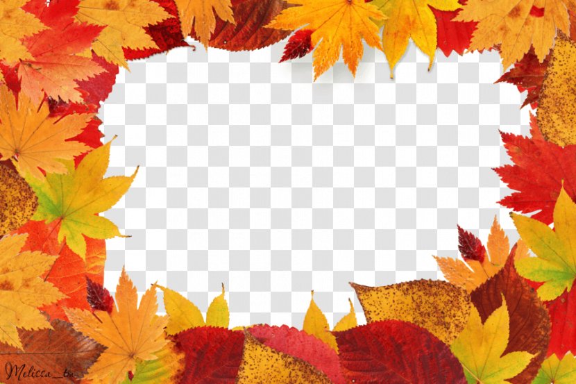 Autumn Leaf Color Clip Art - Petal - Leaves Frame Transparent PNG