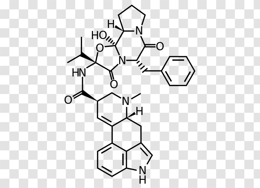 Ergocristine Lysergic Acid Diethylamide Ergotamine - Flower - Silhouette Transparent PNG
