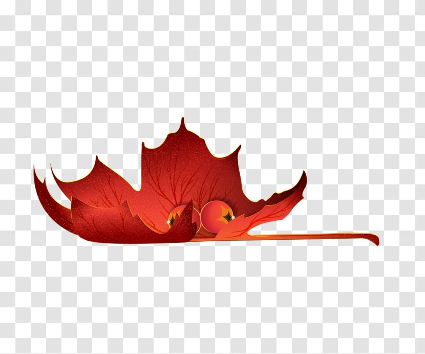 Leaf Autumn Clip Art - Plant Transparent PNG