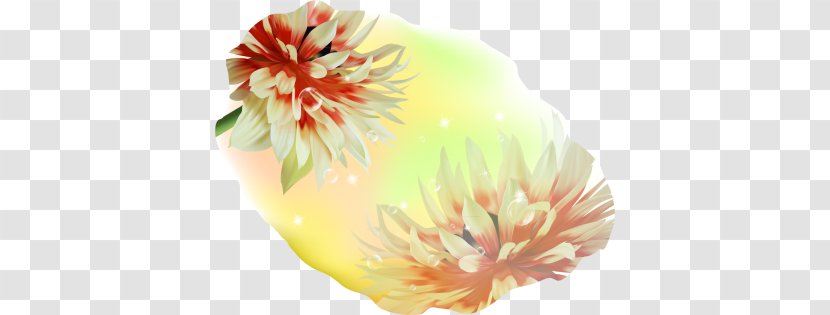 Flowering Plant Peach Petal - Nelumbo Nucifera Transparent PNG