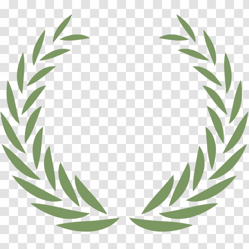 Christmas Tree Art Gift Clip - Grass Family - Wreath Transparent PNG