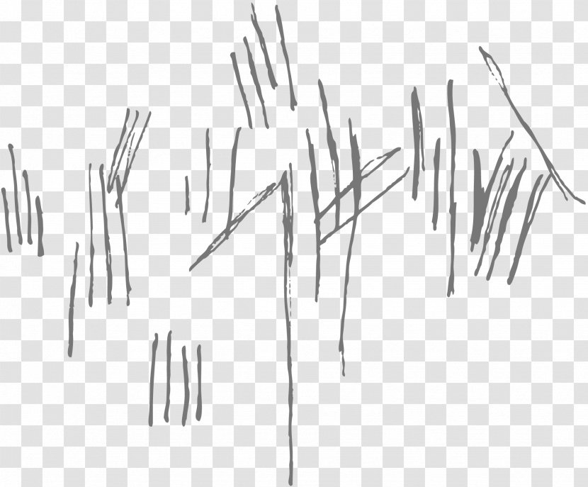 Drawing Line Art - White - Scratches Transparent PNG