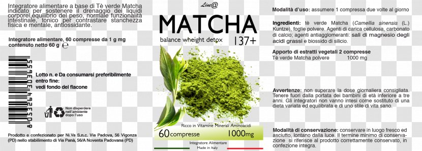 Matcha Tea Antioxidant Tablet Groupon - Grass Family Transparent PNG