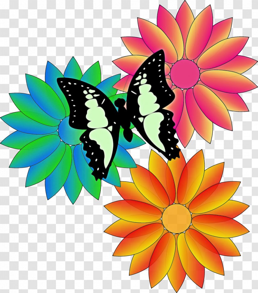 Monarch Butterfly - Insect - Petal Brushfooted Transparent PNG