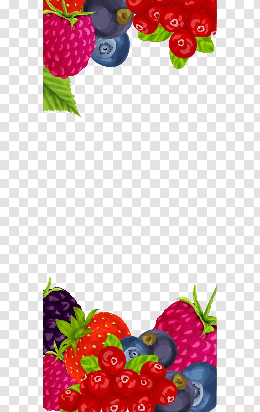 Strawberry Frutti Di Bosco Fruit Euclidean Vector - Floral Design - Cranberry Blackberry Border Transparent PNG