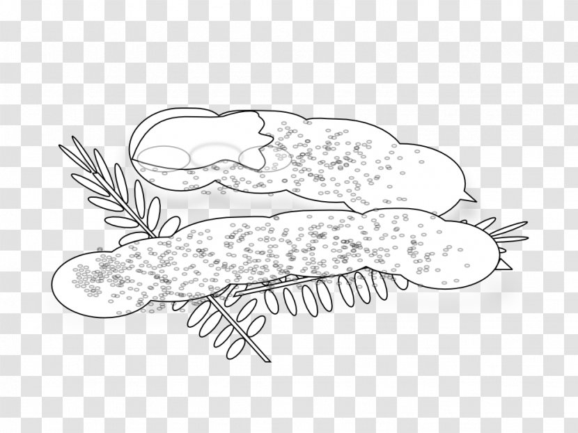 Tamarind Coloring Book Line Art Clip - Black And White Transparent PNG