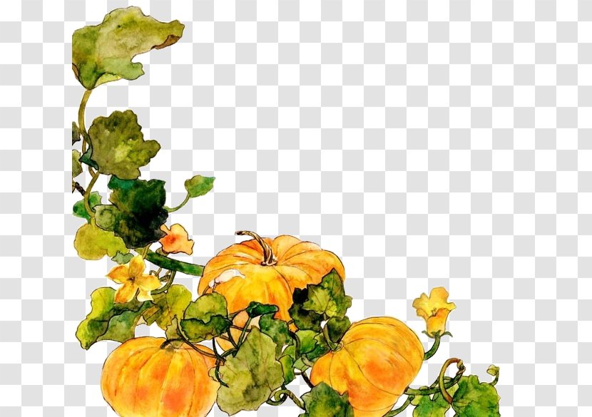 Floral Design Cucurbita Vegetable Cut Flowers - Orange - Cucumber Vines Transparent PNG