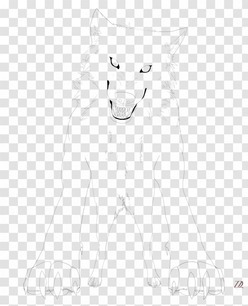 Gray Wolf Bear Snout White Sketch - Head Transparent PNG