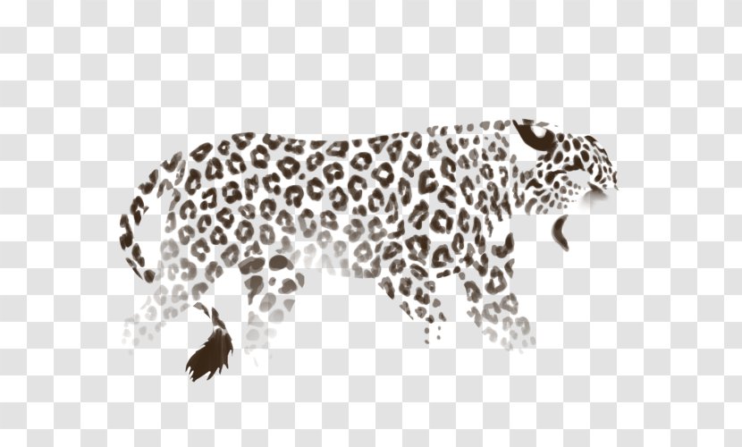 Snow Leopard Jaguar Cheetah Lion Transparent PNG