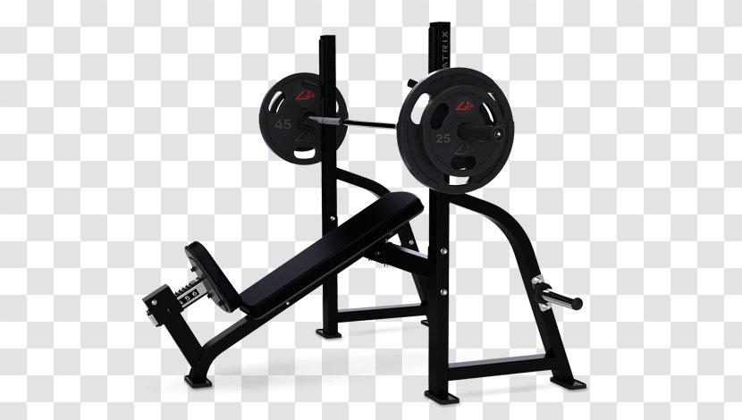 Bench Olympic Games Fitness Centre Fly Dumbbell - Equipment Transparent PNG