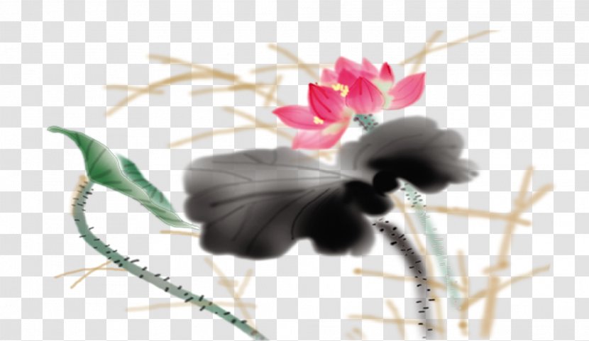 Heyexiang Nelumbo Nucifera Chinese Painting - Pollinator - Lotus Transparent PNG