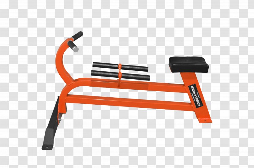 Exercise Machine Equipment Bench Bent-over Row - Strength Training - Dumbbell Transparent PNG