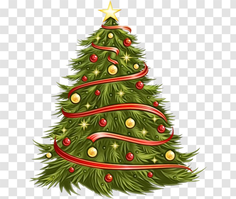 Christmas Tree - Evergreen Holiday Ornament Transparent PNG