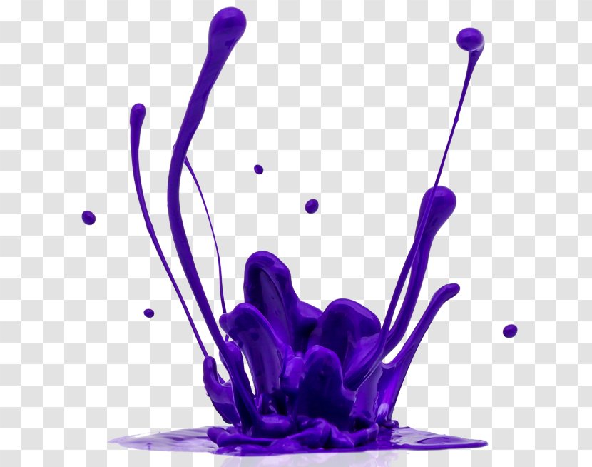 Shampoo Hair Conditioner Stock Photography L'OrÃ©al Professionnel - Care Transparent PNG
