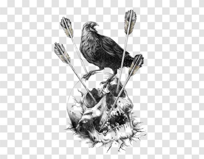 Calavera Carlsberg Fjord Human Skull Symbolism Illustration - Bird - Crow Transparent PNG