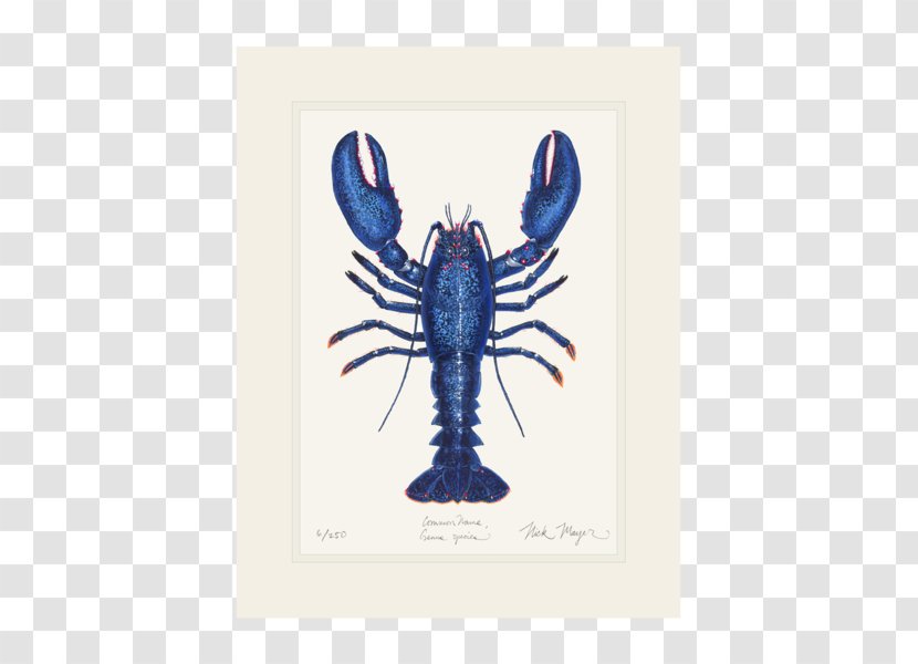 American Lobster Crab Giant Tiger Prawn California Spiny - Seafood Transparent PNG
