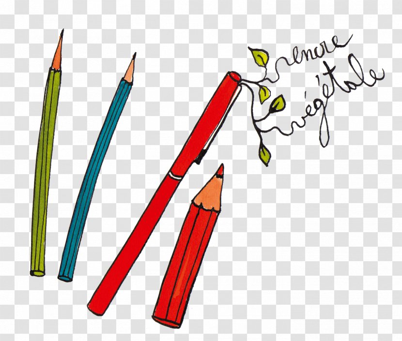Paper Pencil Scissors Water School - 100 Rainbow Crayons Transparent PNG
