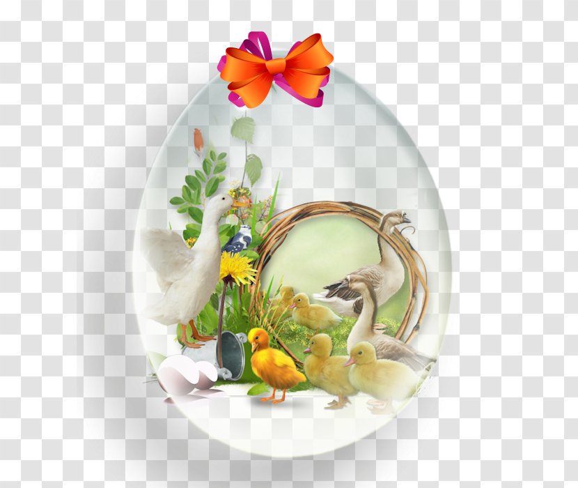 Plate Porcelain Still Life Photography Flowerpot Transparent PNG
