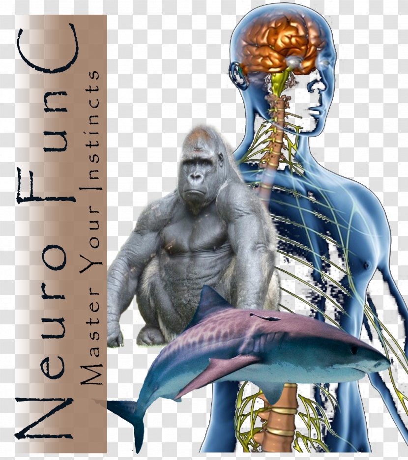 Therapy Experience Body Primate Behavior - Primitive Human Transparent PNG