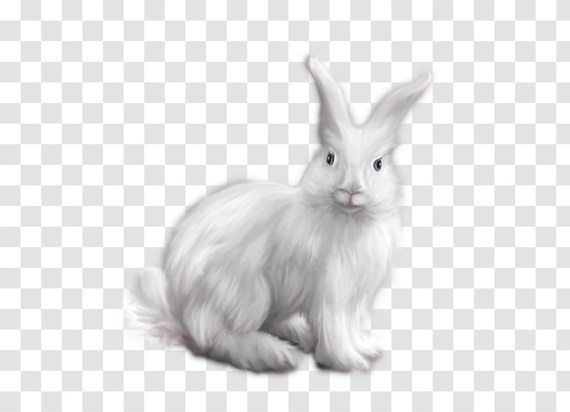Domestic Rabbit Angora White Clip Art - Puppy Transparent PNG