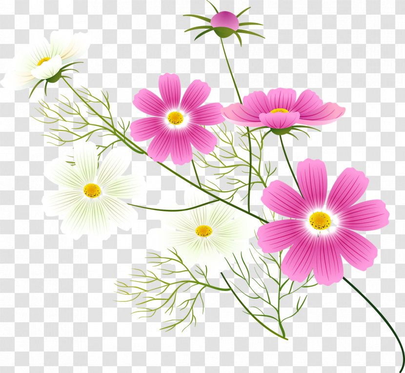 Flower Clip Art - Garden Cosmos Transparent PNG