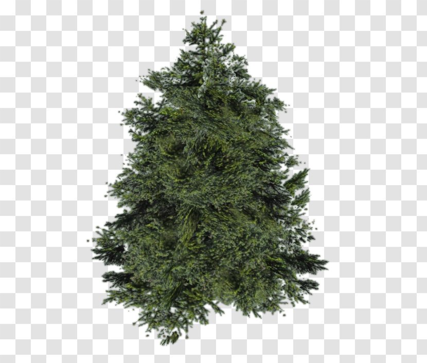 Balsam Fir Artificial Christmas Tree Pine Cedar Transparent PNG