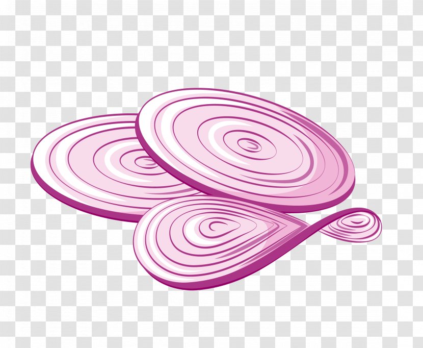 Onion Cartoon - Vector Realistic Slices Transparent PNG