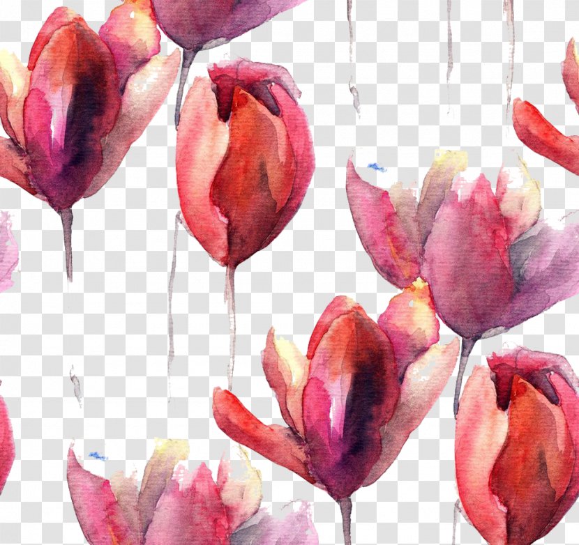 Tulip Watercolor Painting Flower Illustration - Spring - Tulips Background Picture Material Transparent PNG