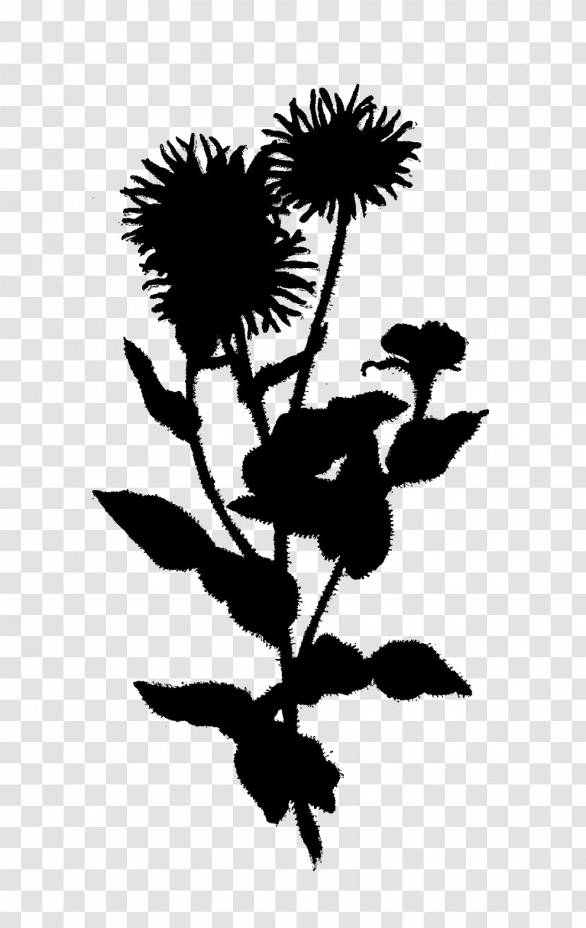 Leaf Plant Stem Silhouette Font Flowering - Pedicel - Botany Transparent PNG