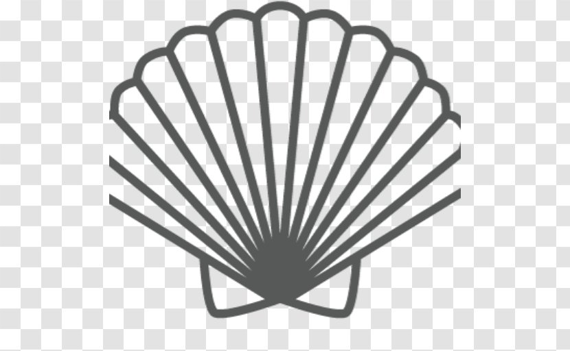 Seashell Clip Art - Black And White Transparent PNG