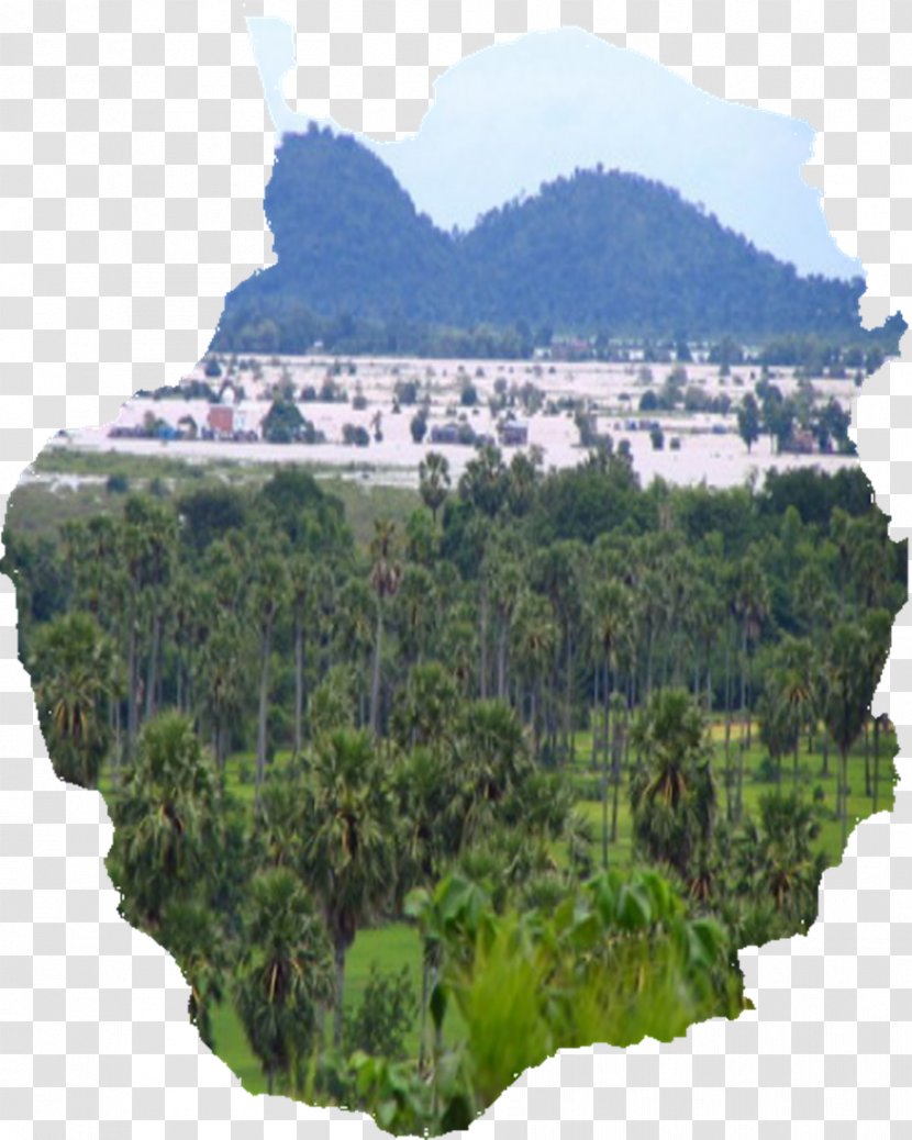 Kampong Chhnang Province Mount Scenery Nature Reserve Vegetation Water Resources - Real Property - Park Transparent PNG