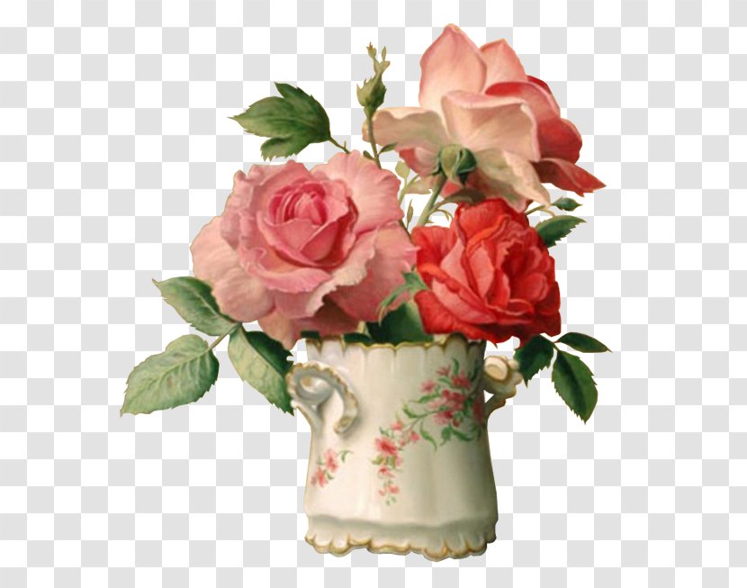 Painting Flower Drawing Floral Design - Rosa Centifolia Transparent PNG