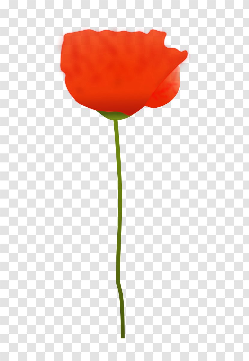 Remembrance Poppy Flower Clip Art - Plant Transparent PNG