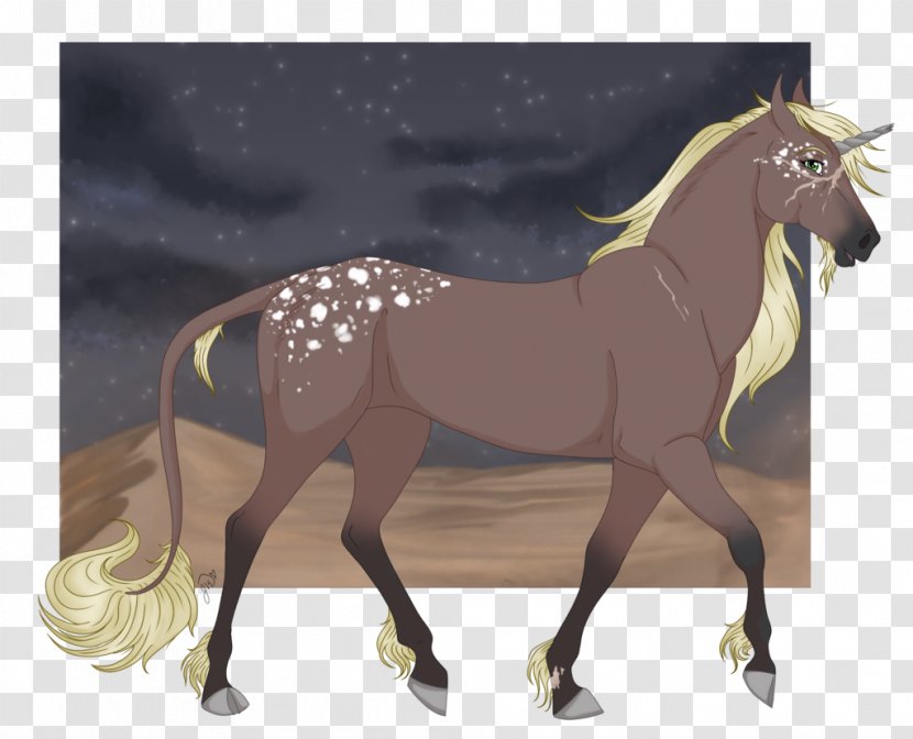 Mustang Stallion Mare Halter Pony Transparent PNG