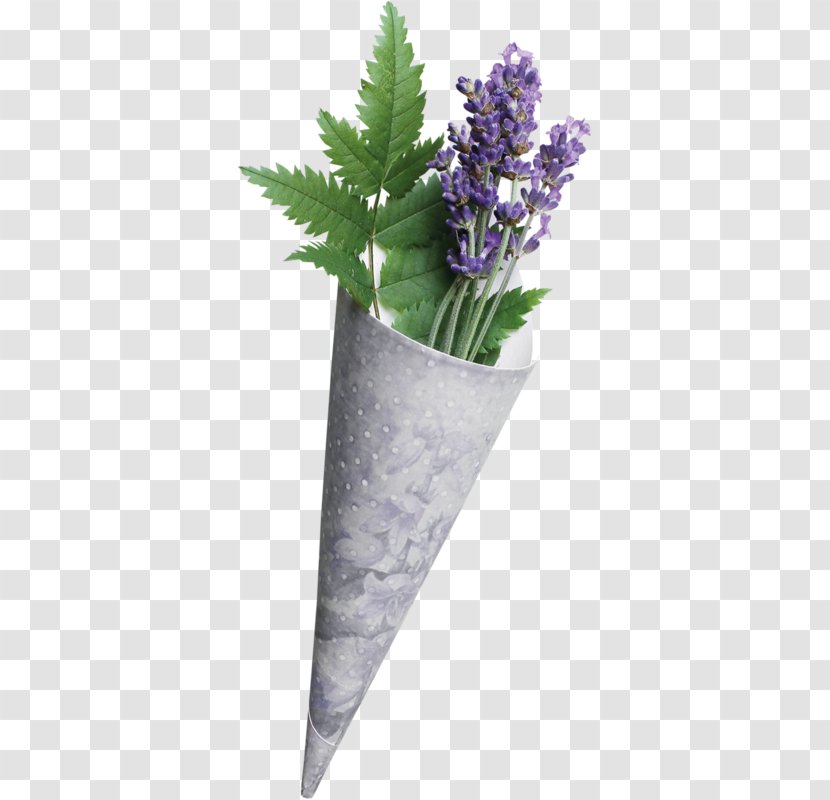 Lavender - Color - Flower Transparent PNG