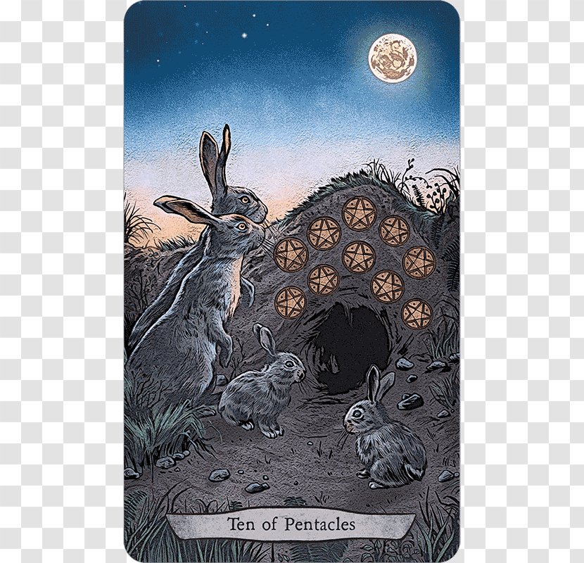 Animal Totem Tarot The Fool Llewellyn Worldwide - DECK OF Cards Transparent PNG